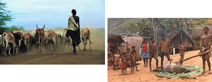 Pasteur de la vallée de l'Omo, Ethiopie - Les Papous