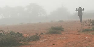 Brume du Sahel